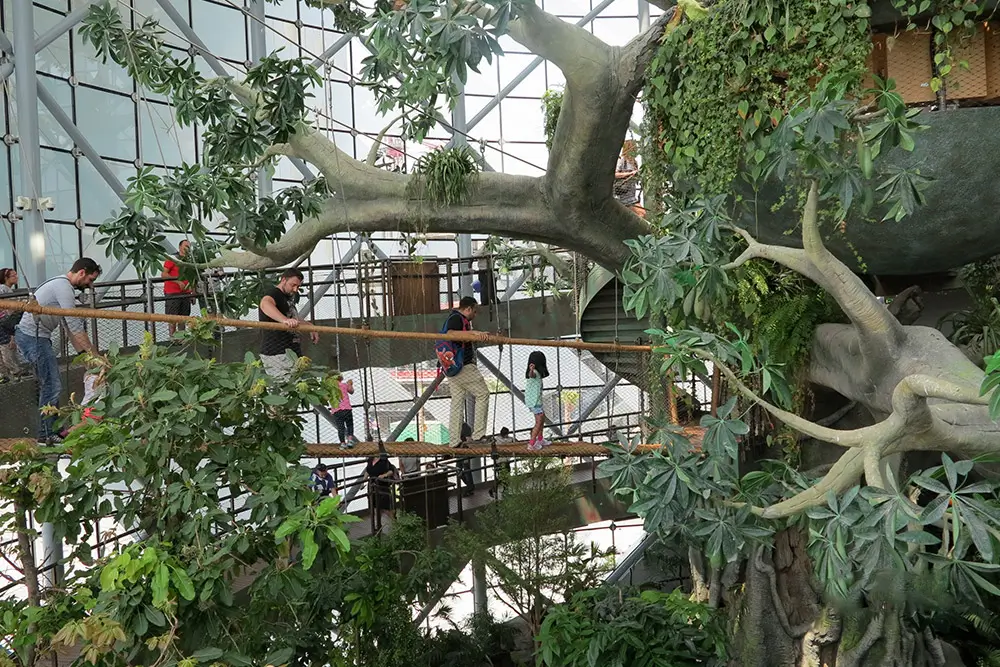 The Green Planet – Dubai’s Indoor Rainforest