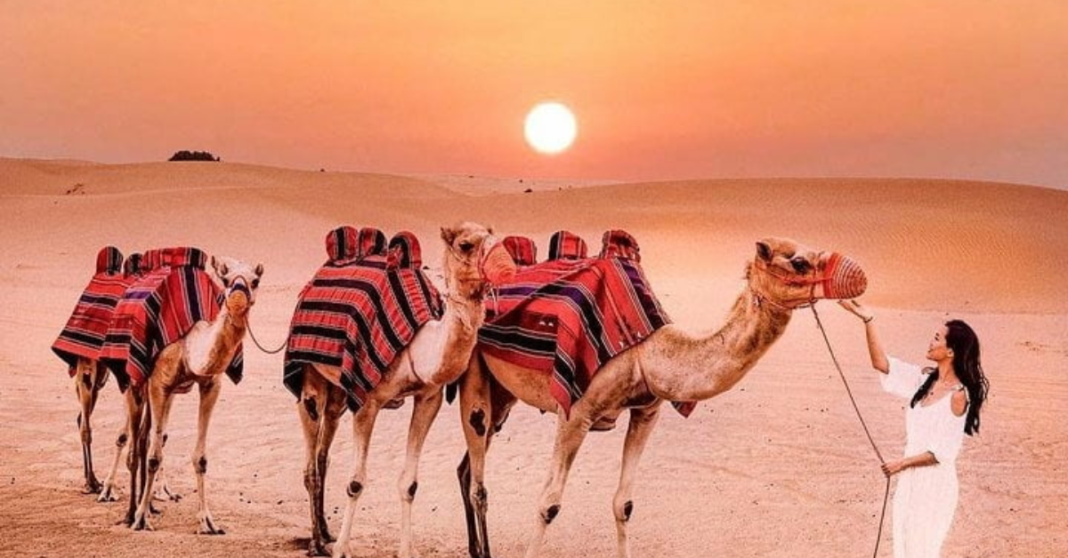 7 Unique Experience at Dubai Desert Safari