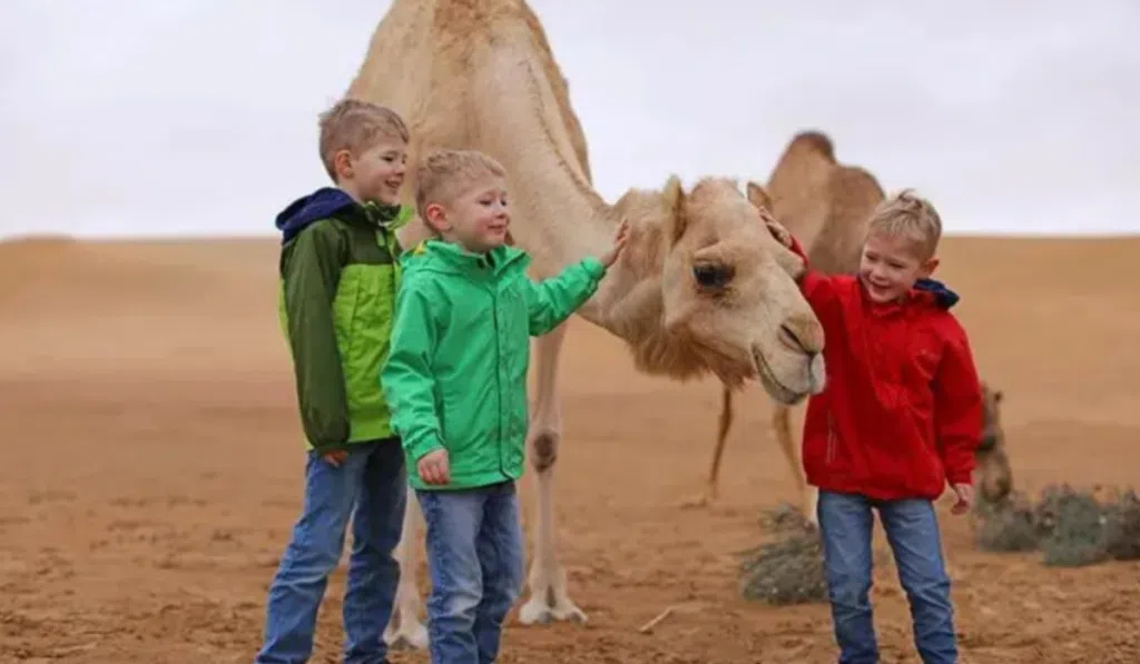 Dubai Desert Safari with a Toddler