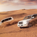 Plan the Perfect Desert Safari in Dubai A Guide