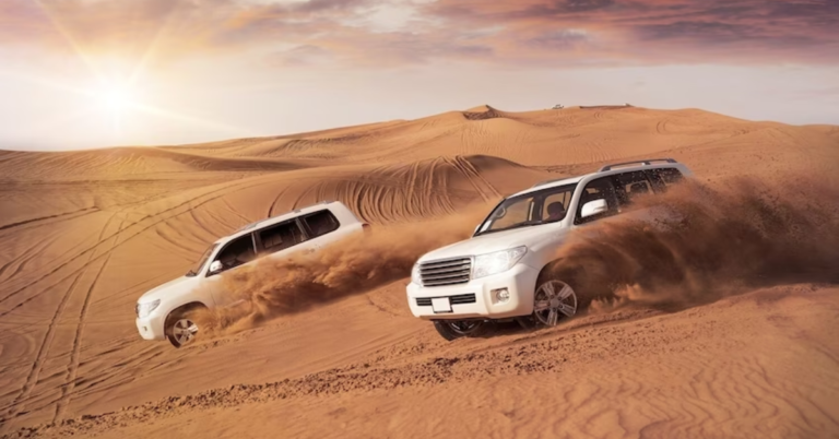 Plan the Perfect Desert Safari in Dubai A Guide