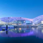 Abu Dhabi City Tour
