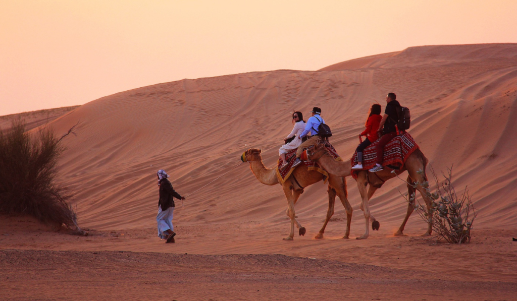 Camel Riding