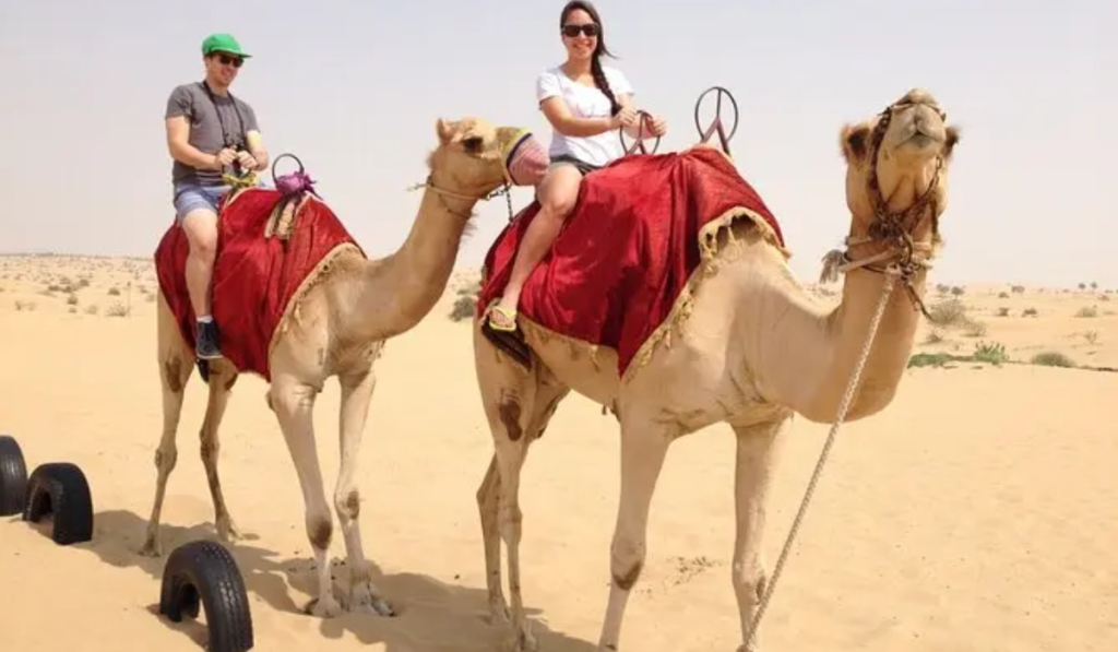 The Thrill of Riding a Camel