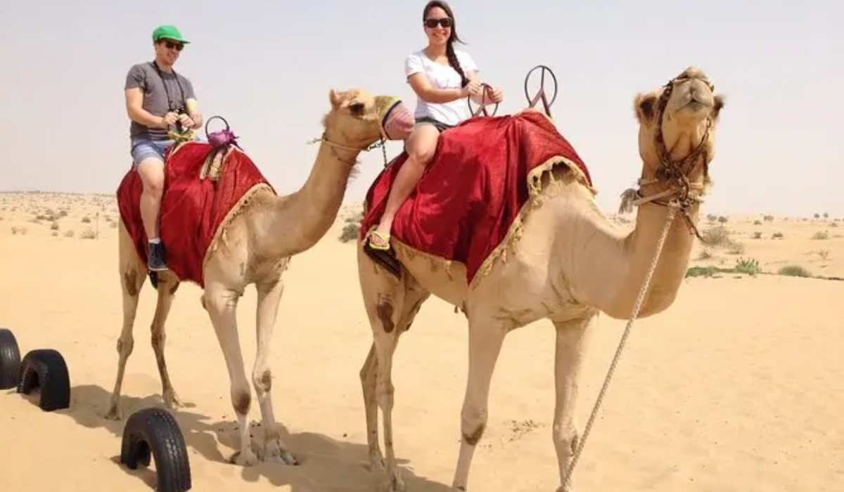 The Thrill of Riding a Camel 