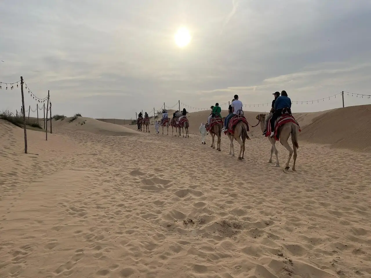Desert Safari Dubai Camel Ride