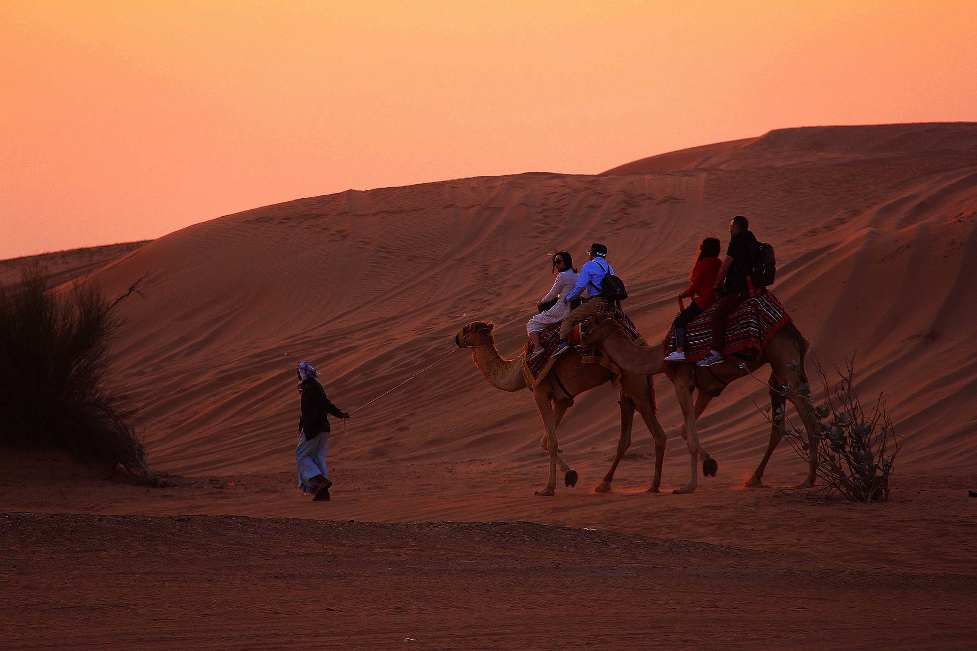camel-riding-safari