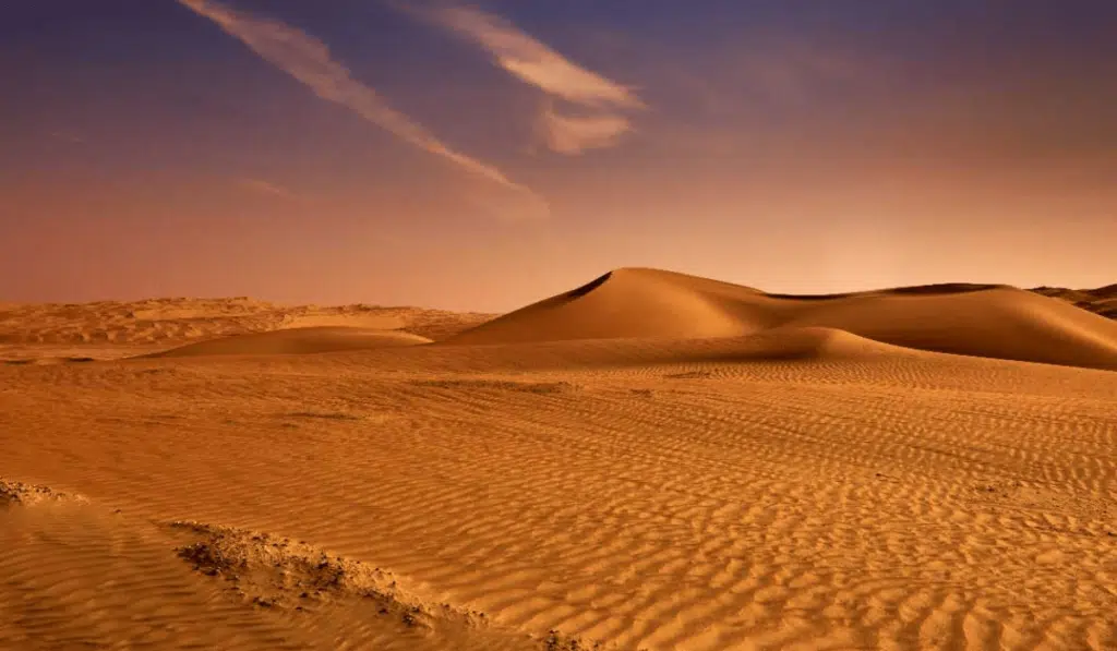 Double the Adventure: Desert Safari Dubai Buy 1 Get 1 Free Offer 2 The Beauty of Dubai's Desert