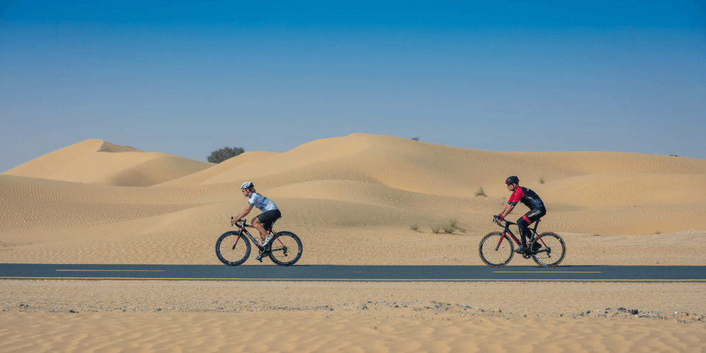 Cycle or Jog at Al Qudra Lakes