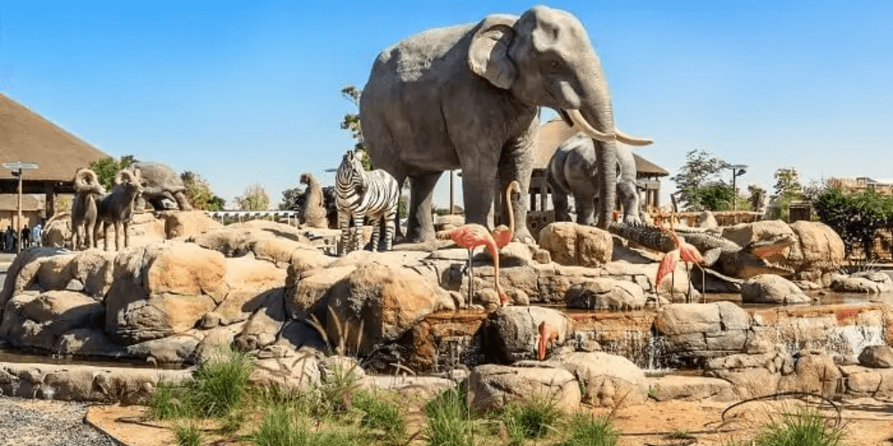 Stroll through Safari Park