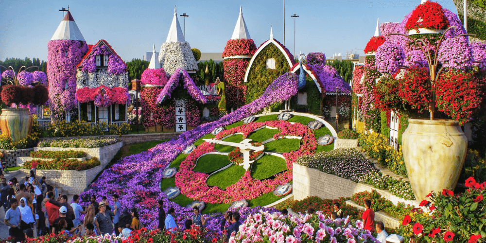Tour Dubai Miracle Garden
