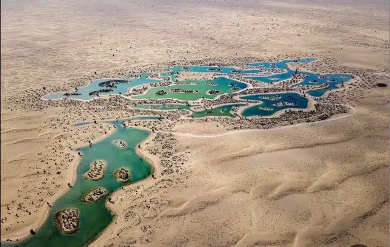 Al Qudra Lake Dubai