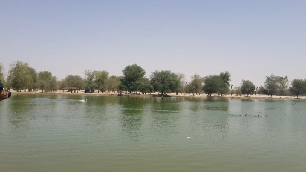 Al Qudra Lake in Dubai