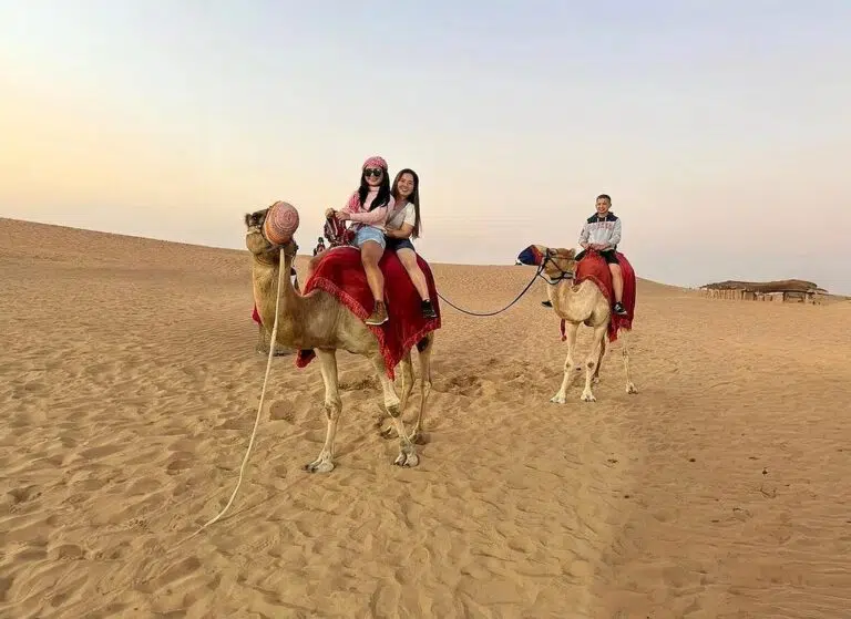 Camel Ride
