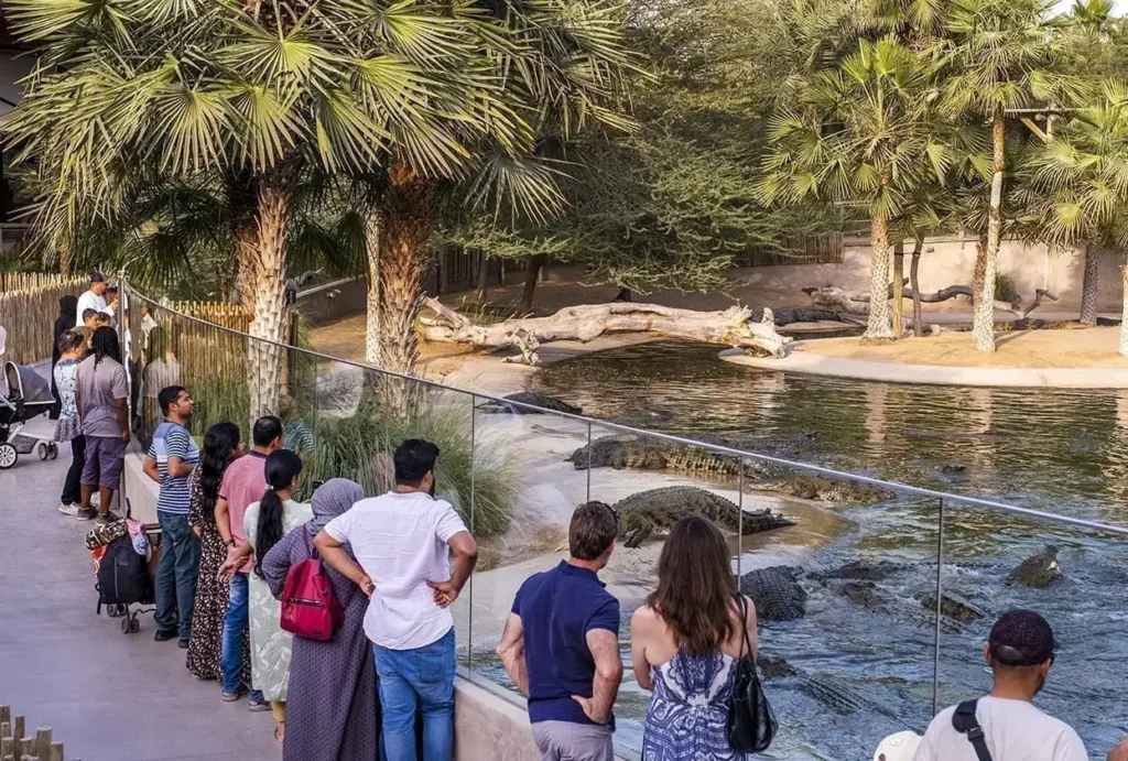 Dubai Crocodile Park Feeding Show