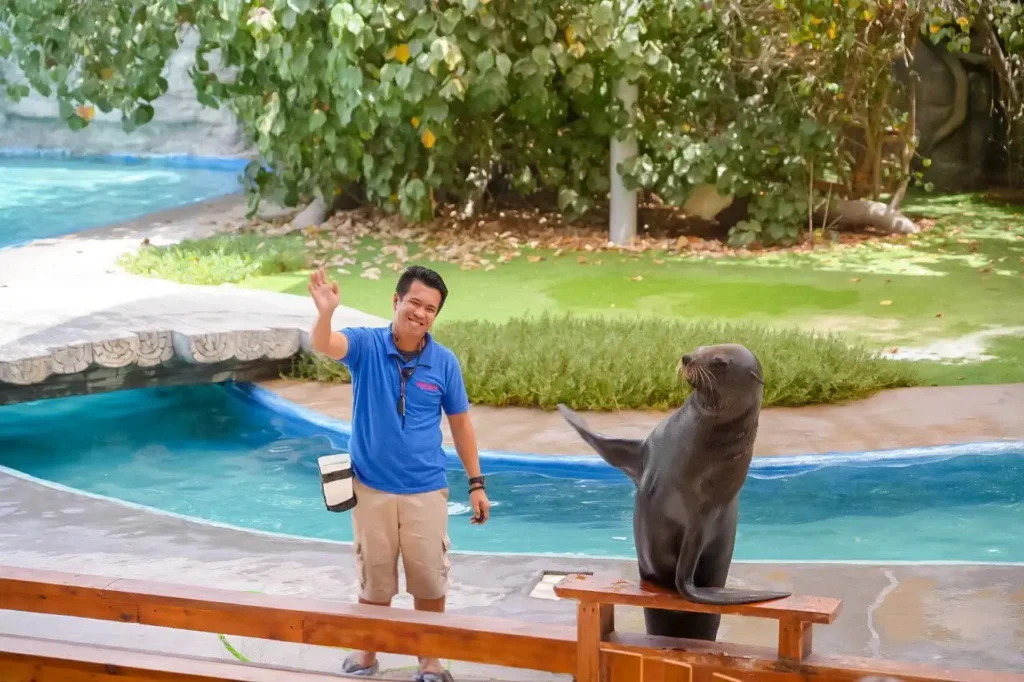 Emirates Park Zoo Sea Lion