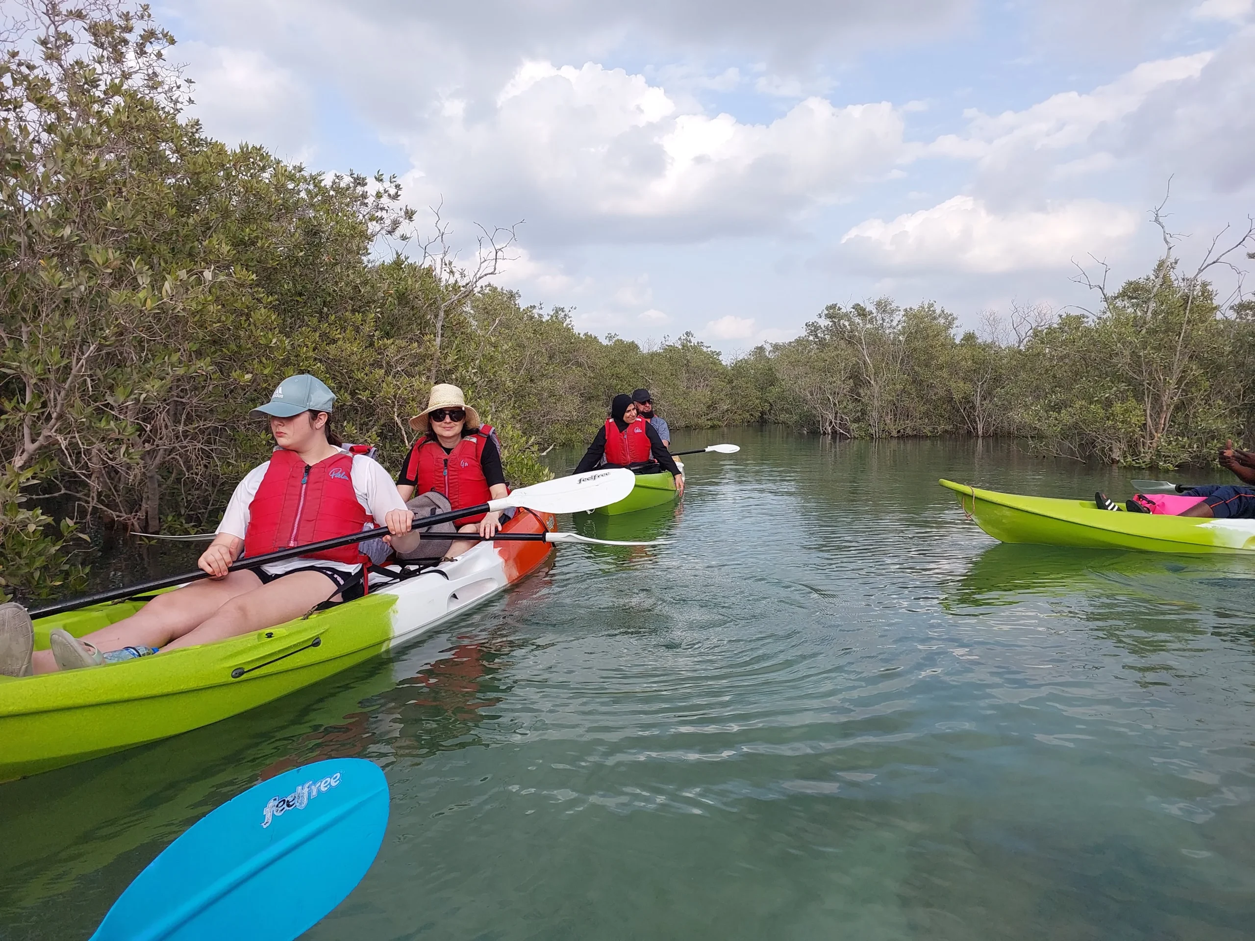 mangrove national park abu dhabi