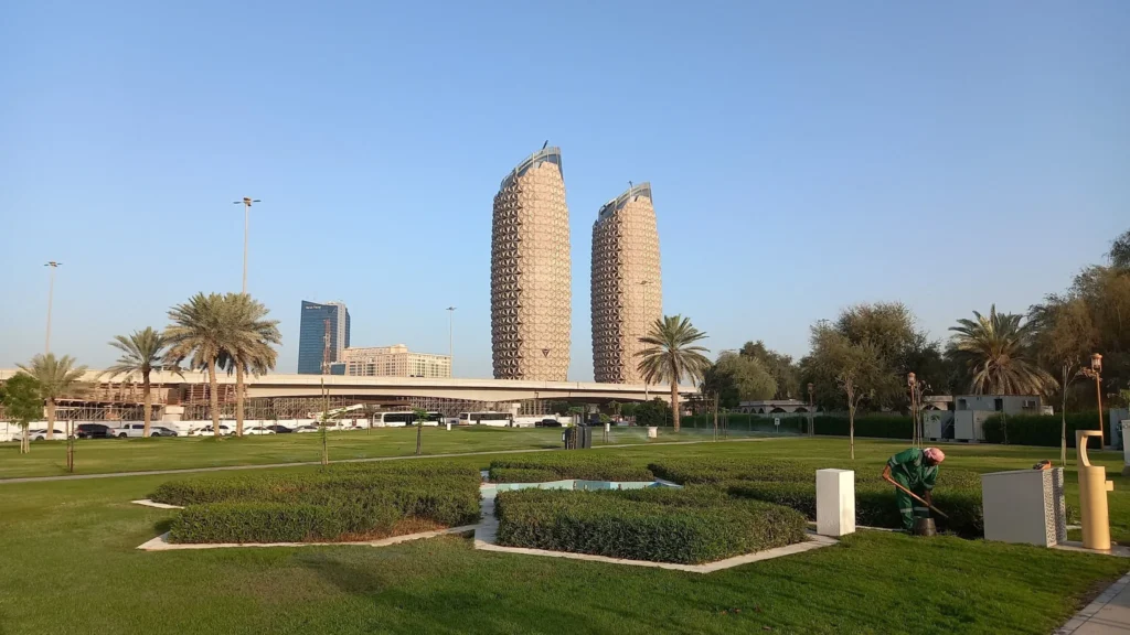 mangrove national park view point abu dhabi