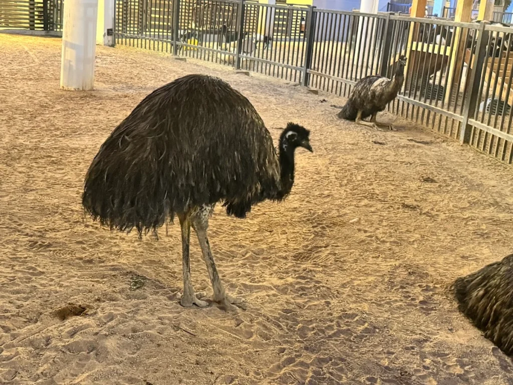 umm al emarat park zoo