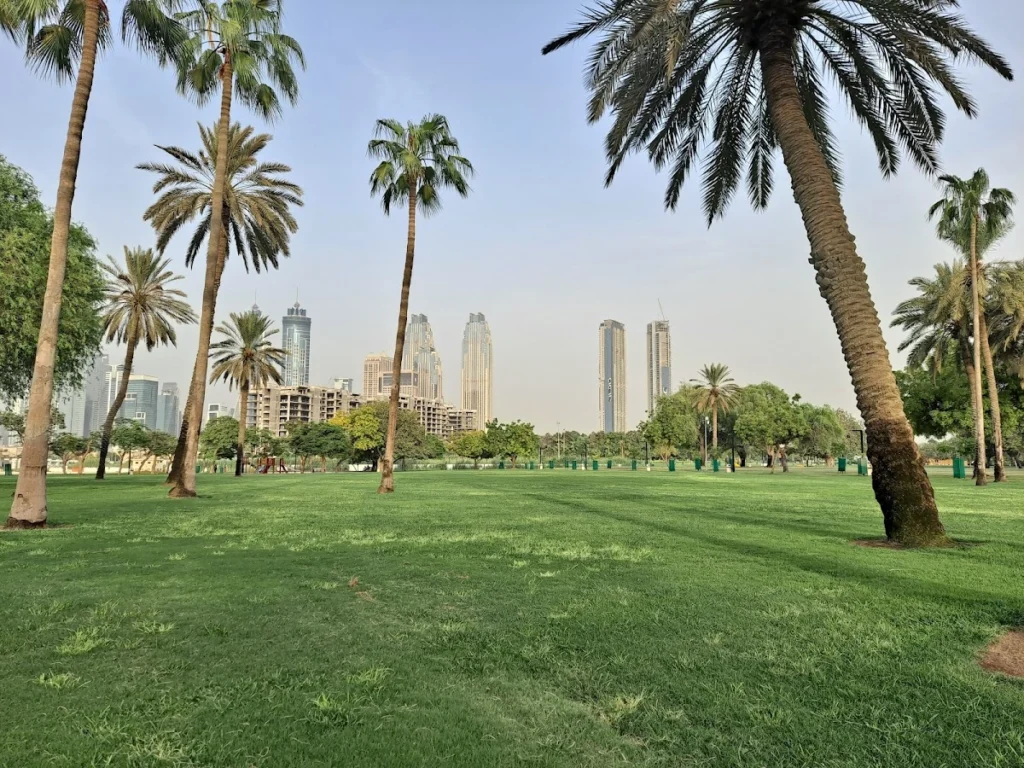 What Are the Final Thoughts on Visiting Safa Park