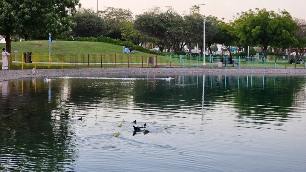 What Are the Most Captivating Images of The Lake Park