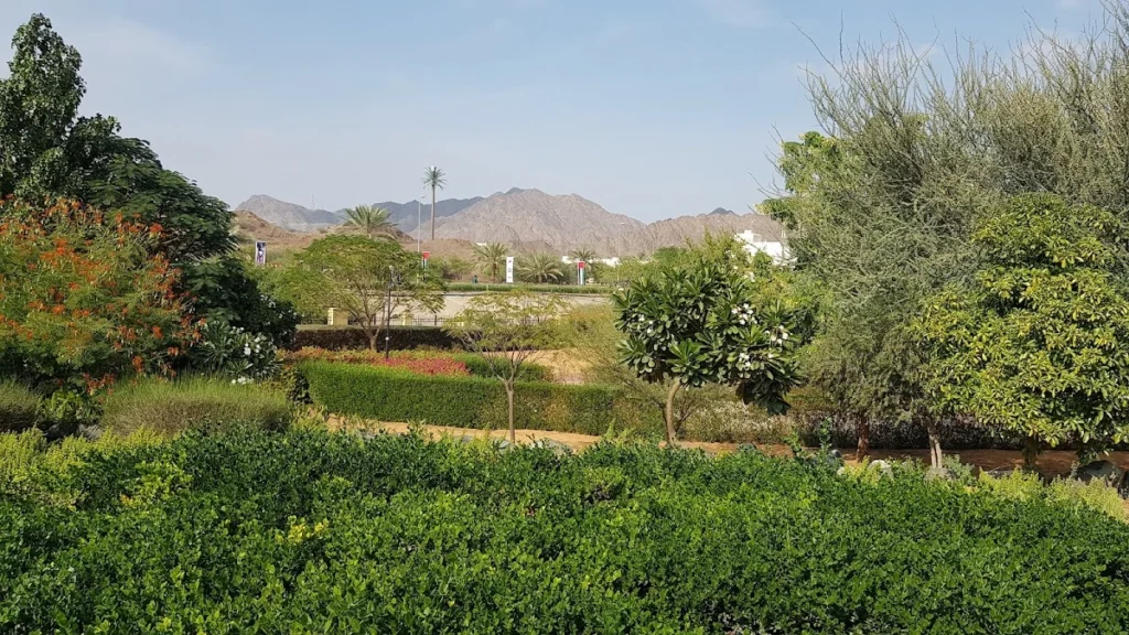 What’s the ideal time of year to visit Wadi Hatta Park