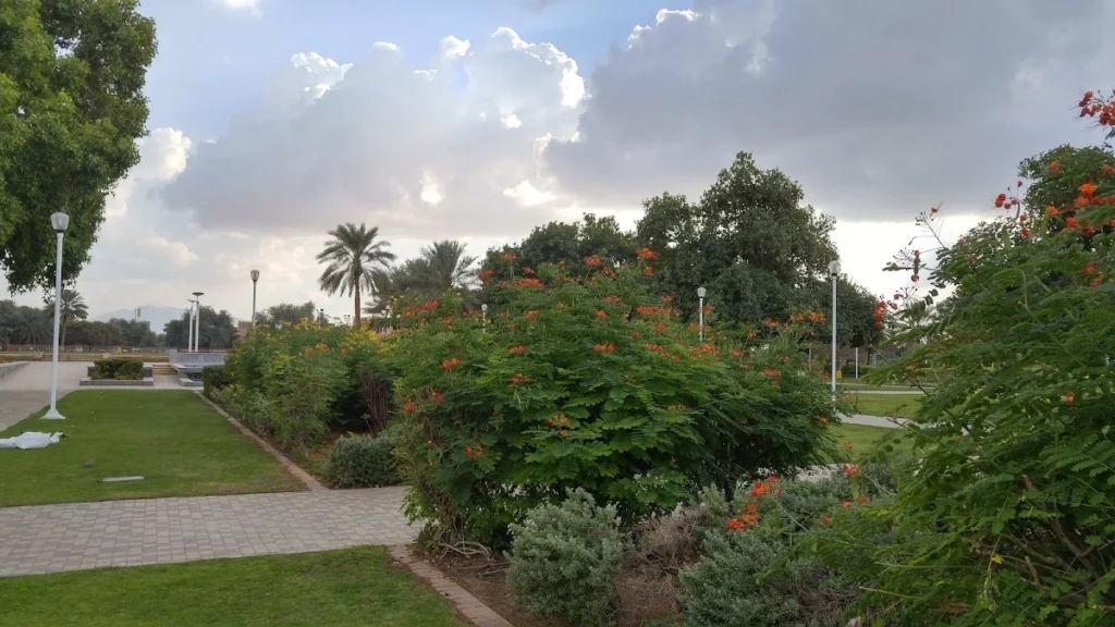 Can You Have the Perfect Picnic at Al Jahili Park