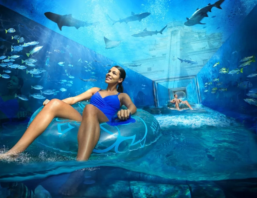 Can You Swim with Dolphins and Feed Rays at Aquaventure