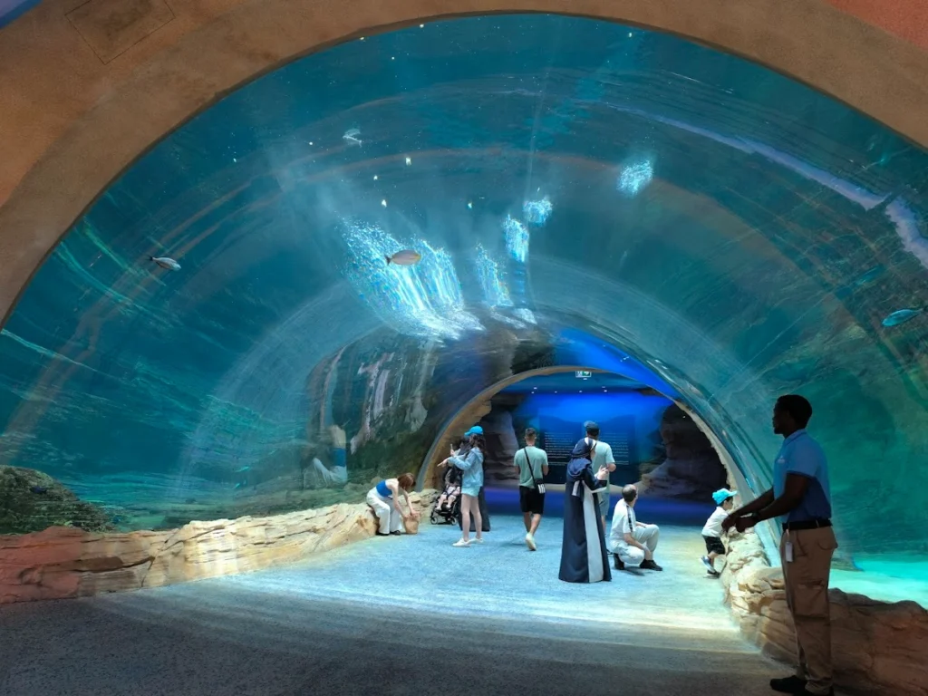 Is SeaWorld Abu Dhabi Accessible for Visitors with Disabilities