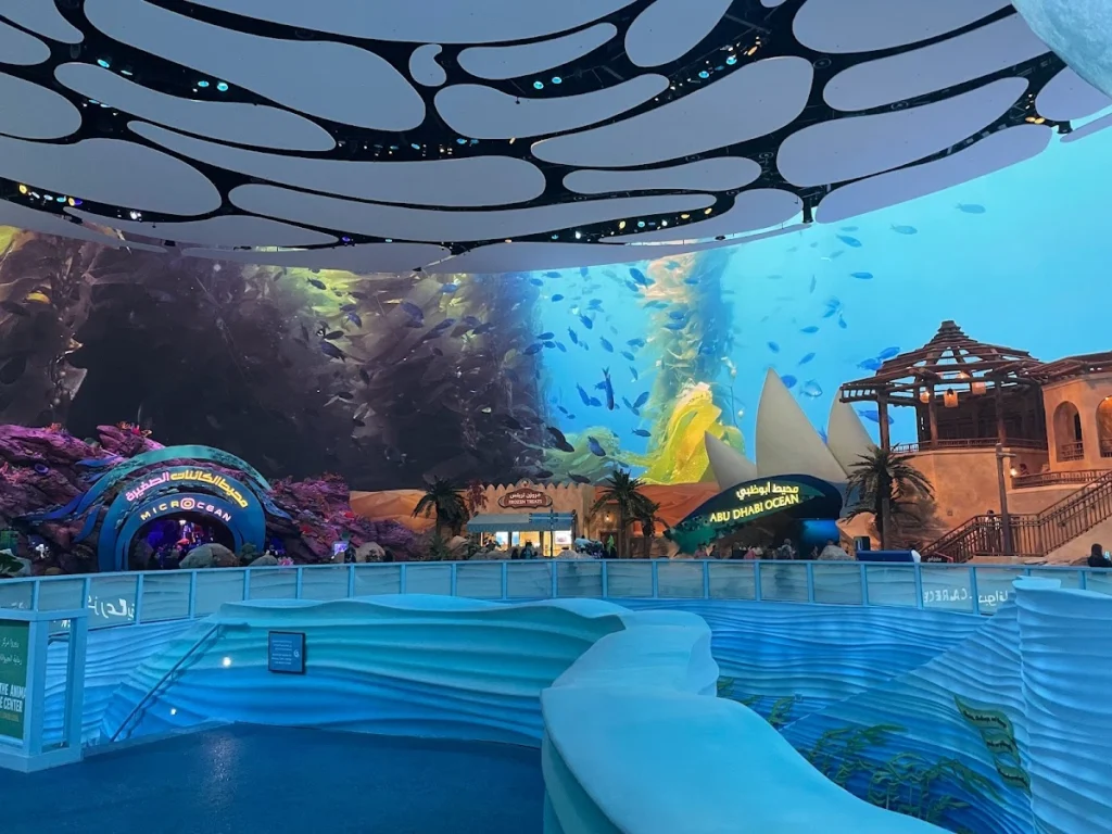 What Are the Top Attractions and Experiences at SeaWorld Abu Dhabi