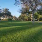 Al Barsha Pond Park