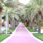 Al Ittihad Park