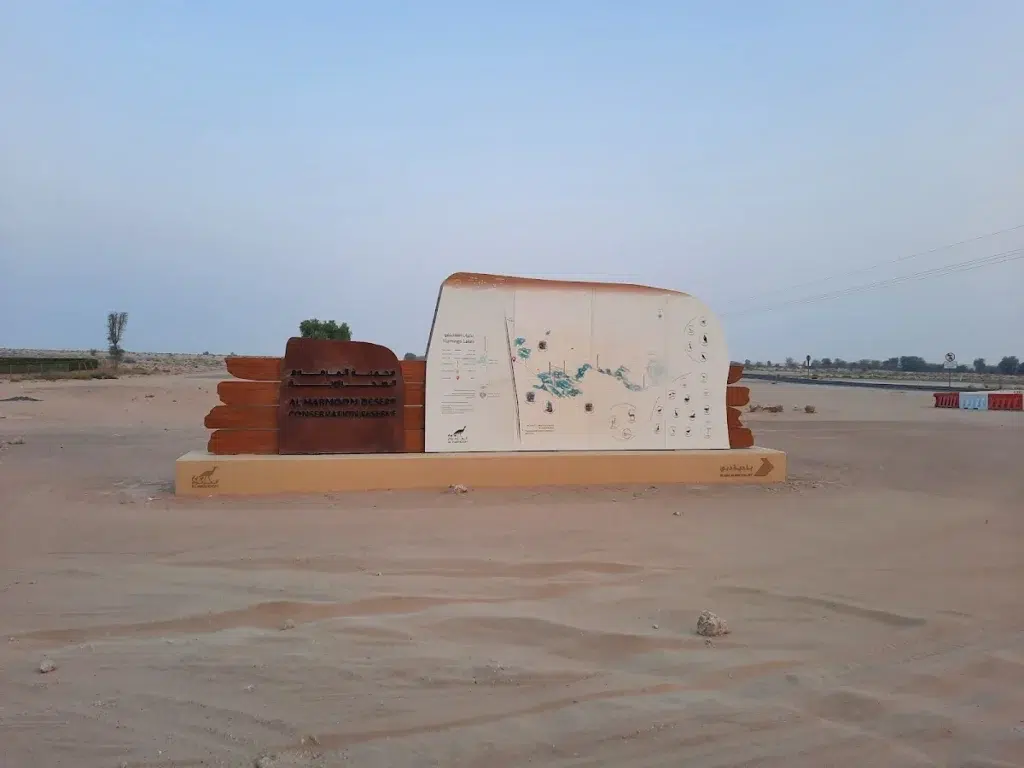 Al Marmoom Desert Conservation Reserve