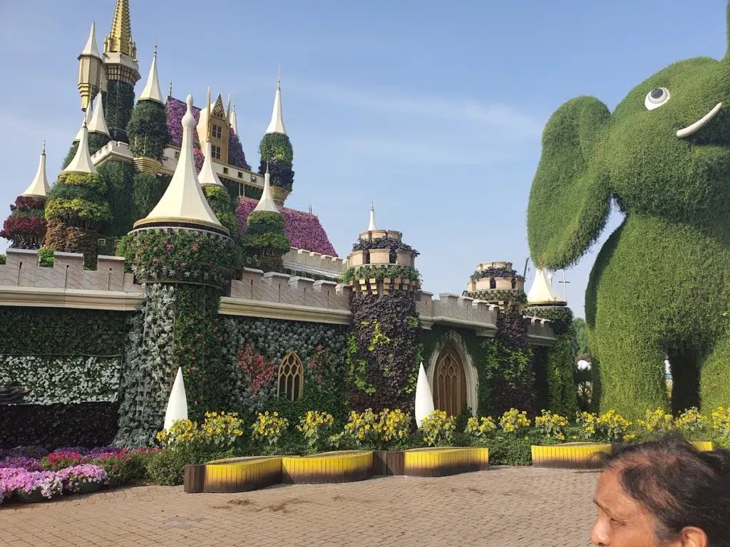 Did You Know About Dubai Miracle Garden’s Guinness World Record