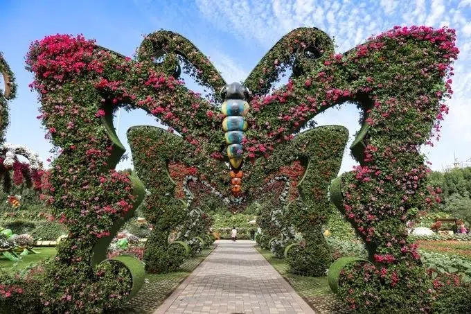 Dubai Butterfly Garden