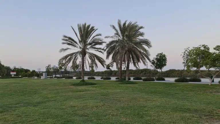 Eastern Mangrove Park