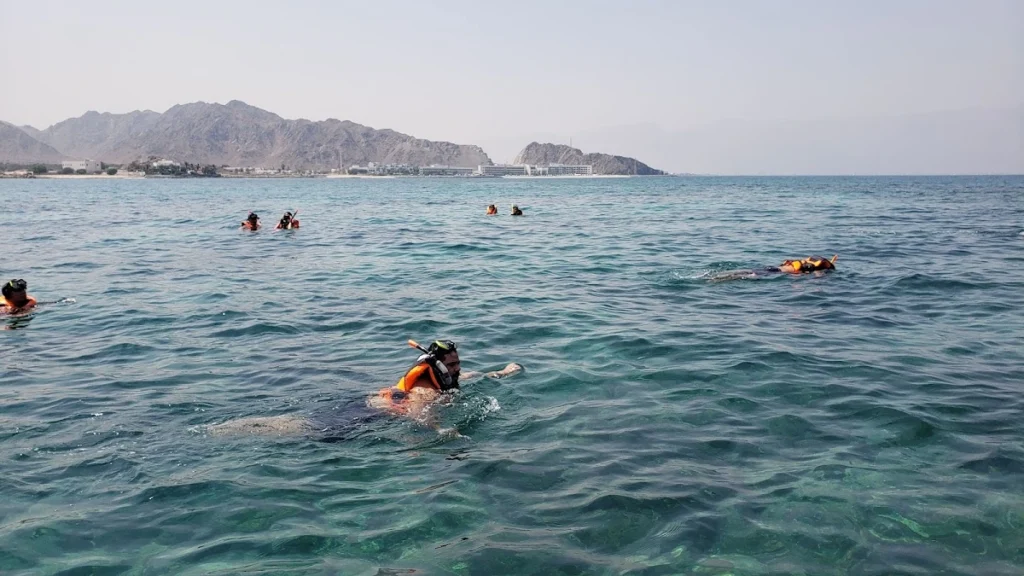 Final Thoughts: Ready to Explore Dibba