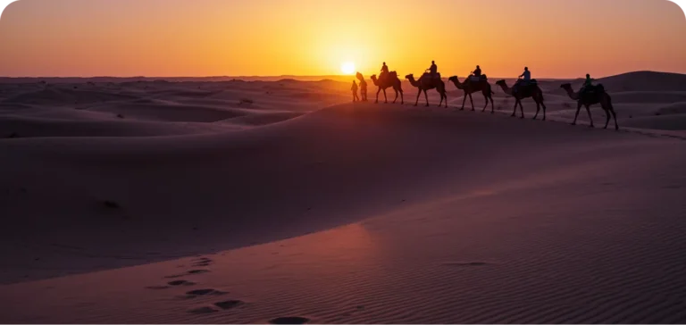 Sunset Camel Treks