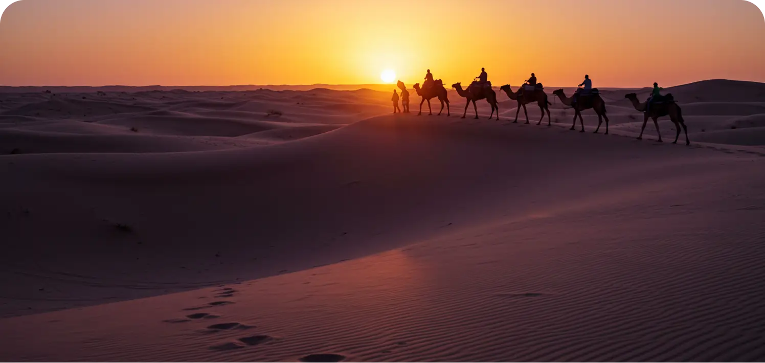 Sunset Camel Treks