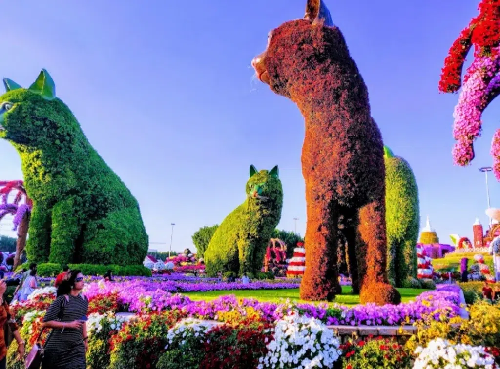 What Is the Seasonal Schedule at Dubai Miracle Garden