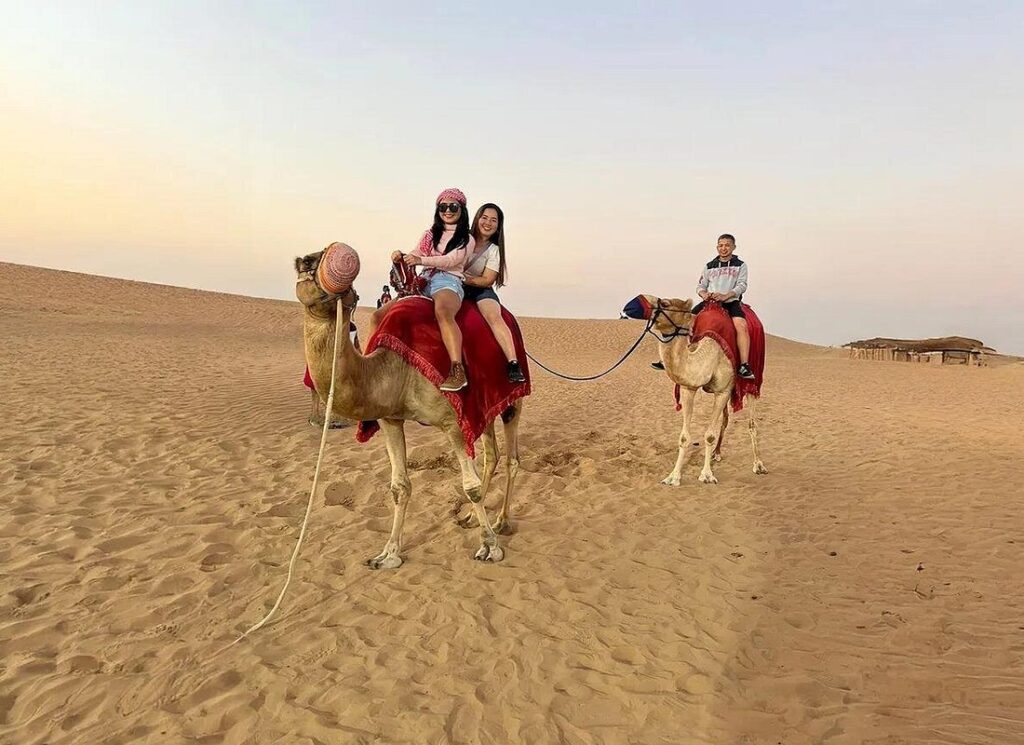 Tourists enjoying a traditional camel ride on red-saddled camels in the Dubai desert during a sunset desert safari experience.