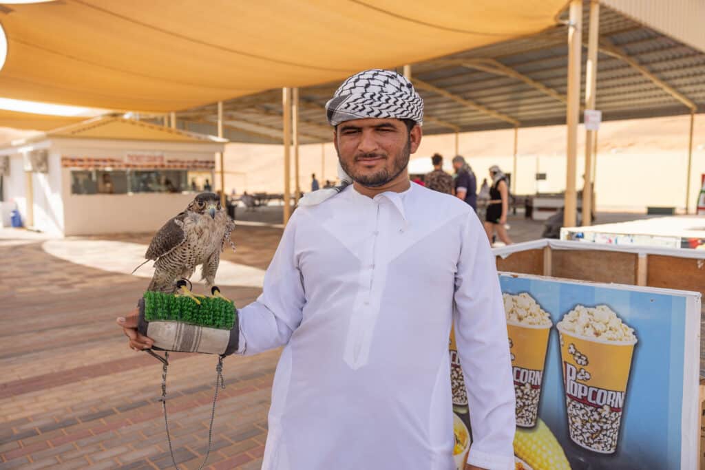 Get up close with the desert’s royal bird – the falcon.