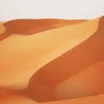 Is Desert Safari Dubai Free