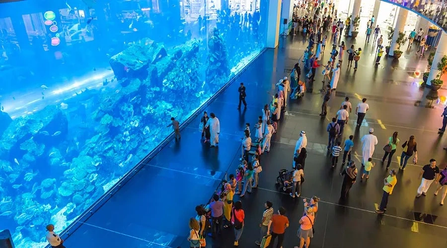 Dubai City Tour Visit People