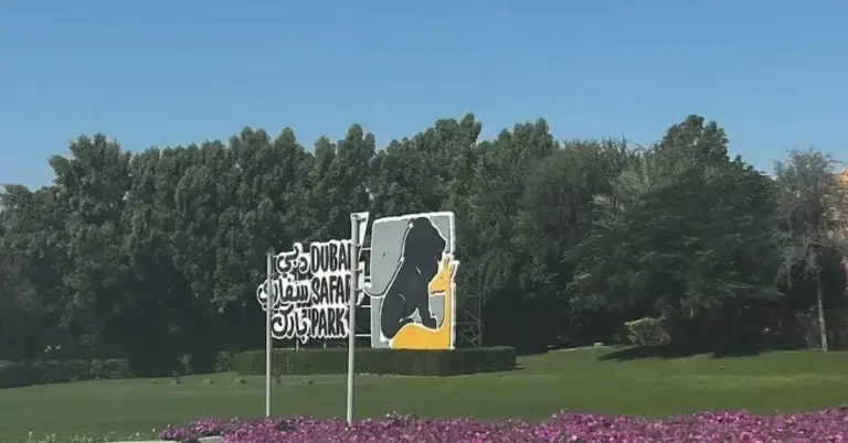 Complete Guide to Dubai Safari Park Tickets Prices, Timings, and Tips for 2025–2026
