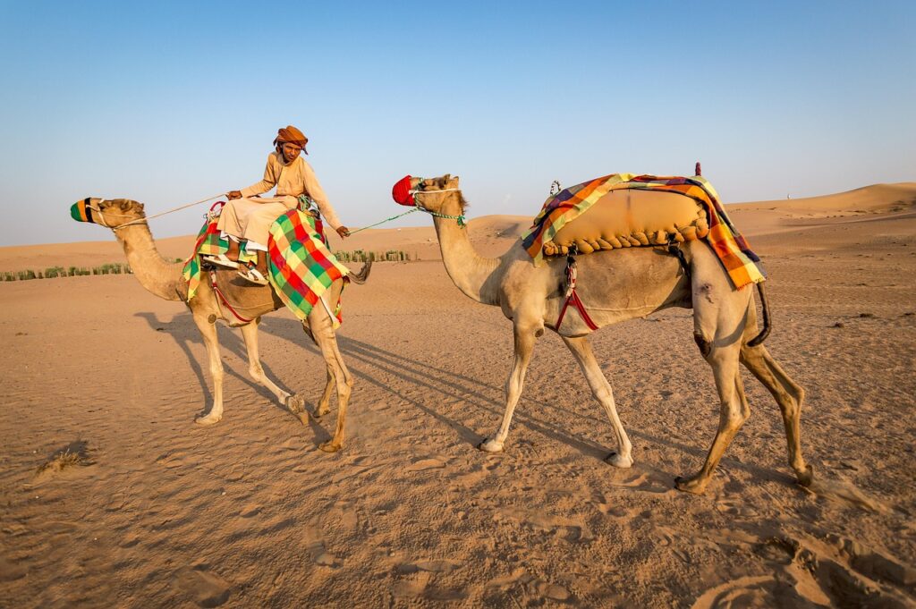 Dune bashing, camel riding, and sandboarding in Dubai desert
