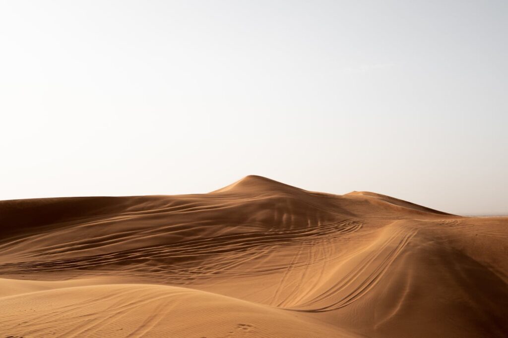 Best time for desert safari showing desert safari timings in Dubai for morning evening and overnight tours