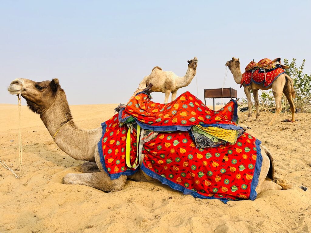 Traditional Bedouin camp and cultural activities during the best desert safari in Dubai