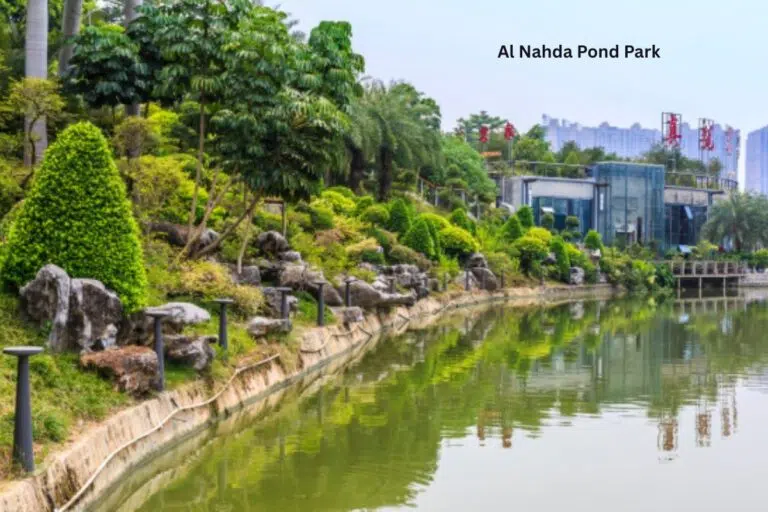 Beautiful sunset view at Al Nahda Pond Park in Dubai