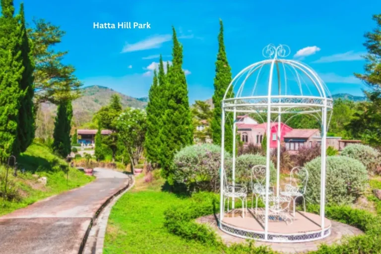 Hatta Hill Park on the Hatta Mountain Tour